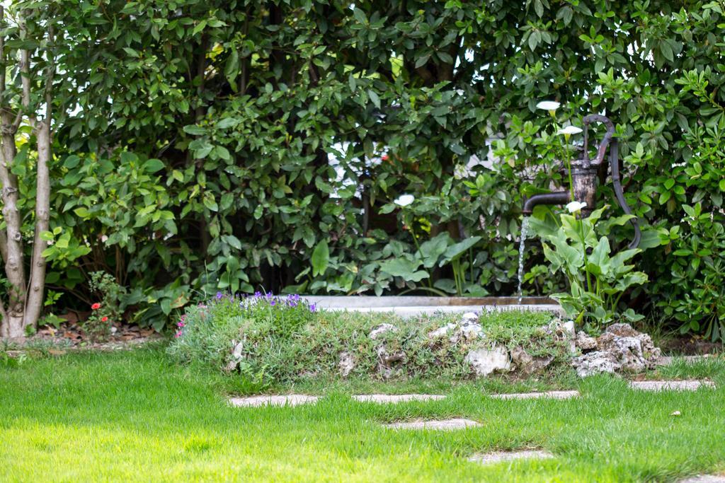 B&B Arco Di Pietra Quinto Di Treviso Екстериор снимка